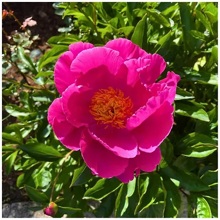 Memories μονοκατοικία στο * Καρπενήσι