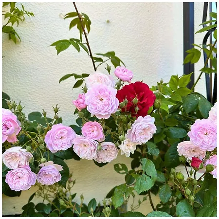 Βίλα Memories μονοκατοικία στο *