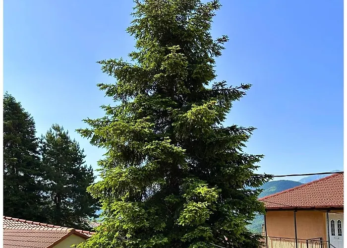 Βίλα Memories μονοκατοικία στο Καρπενήσι