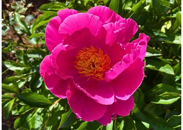 Memories μονοκατοικία στο * Καρπενήσι