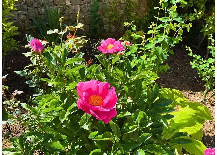 Memories μονοκατοικία στο