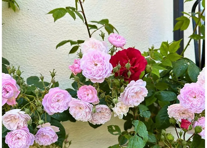 Βίλα Memories μονοκατοικία στο *